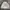 Vintage Streetwear Track jacket Pria cream photo 4