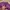 Japanese brand Y2K Grunge T-shirt Wanita purple photo 3