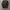 Karl Kani Vintage Windbreaker Pria black photo 4