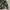 Japanese brand Luxury Futurist Cardigan Wanita white black photo 6