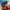 Napapijri Luxury Casual Puffer jacket Kids blue photo 8