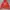 Hollister Casual Hoody Pria orange photo 1