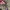 Moncler Luxury Futurist Parka Wanita multicolor photo 8