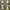 Moncler Luxury Futurist Parka Wanita multicolor photo 7