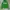 Abercrombie & Fitch Casual Hoody Pria green photo 1