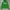 Abercrombie & Fitch Casual Hoody Pria Green
