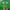 Abercrombie & Fitch Casual Hoody Pria green photo 4