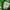Abercrombie & Fitch Casual Hoody Pria green photo 3