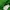 Abercrombie & Fitch Casual Hoody Pria green photo 5