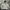 Carhartt Casual Hoody Pria silver photo 2
