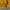 Uniqlo Streetwear Casual Hoody Pria yellow photo 2