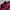 Streetwear Casual Casual shirt Pria red black photo 4