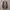 VANS Emo Casual Sneakers Pria white black photo 5