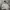 Carhartt Casual Hoody Pria silver photo 2