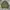Made in USA Vintage Y2K Bomber jacket Pria green photo 1