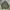 Made In USA Vintage Y2K Bomber Jacket Pria Green