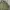 Made In USA Vintage Y2K Bomber Jacket Pria Green