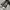 Converse Y2K Sneakers Pria brown black photo 2