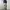 Dickies Streetwear Skater Jeans Pria tan photo 2