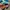 Adidas Sportswear Casual Sandals & slide Wanita multicolor photo 3