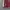 Casual Leather jacket Pria burgundy red photo 5