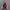 Casual Leather jacket Pria burgundy red photo 1