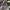 Adidas Casual Casual shoe Pria pink blue photo 4