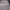 Von Dutch Vintage Y2K Hoody Pria gray photo 5