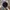 Vintage Y2K Hat Pria black photo 2