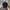 Vintage Y2K Hat Pria black photo 1