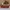 Converse Streetwear Sportswear Sneakers Pria tan brown photo 2
