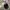 Lacoste Vintage Y2K Hat Pria black photo 4
