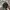 Kangol Vintage Streetwear Hat Pria gray photo 2