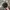 Kangol Vintage Streetwear Hat Pria gray photo 1