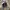 Kangol Y2K Grunge Hat Pria gray photo 4