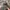 Kangol Y2K Grunge Hat Pria gray photo 2