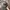Kangol Y2K Grunge Hat Pria gray photo 1