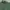 Casual Windbreaker Pria green photo 2