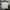 Jean-Michel Basquiat Sportswear Polo shirt Pria white photo 2
