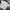 Jean-Michel Basquiat Sportswear Polo shirt Pria white photo 3