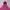 Champion Vintage Y2K Hoody Wanita pink photo 2
