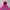 Champion Vintage Y2K Hoody Wanita Pink