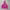 Champion Vintage Y2K Hoody Wanita pink photo 3