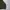 Russell Athletic Vintage Y2K Hoody Pria green photo 4