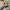 Converse Casual Sneakers Pria yellow photo 3