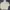 Japanese brand Casual Hoody Pria cream photo 1