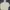 Japanese Brand Casual Hoody Pria Cream