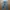 Levi's Streetwear Casual Jeans Pria multicolor photo 1