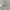 Sportswear Jersey Pria white photo 4