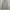 Sportswear Jersey Pria white photo 2
